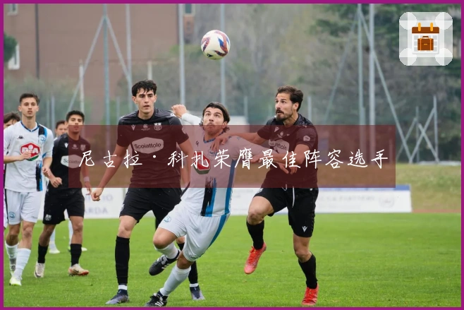 尼古拉·科扎荣膺最佳阵容选手