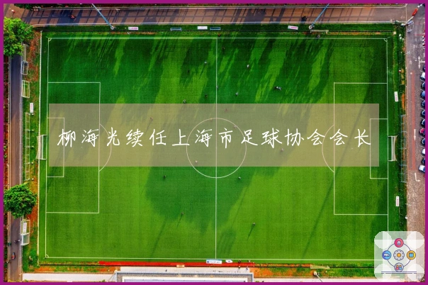 柳海光续任上海市足球协会会长